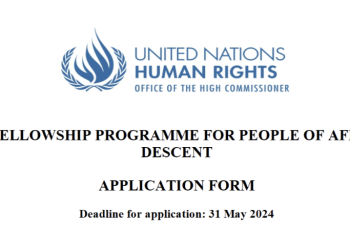 برنامج الزمالات للمنحدرين من أصل أفريقي