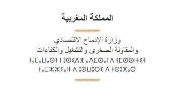 إعلان عن طلب عروض مشاريع الجمعيات العاملة في مجالي محاربة تشغيل الأطفال والنهوض بحقوق المرأة في العمل برسم سنة 2025